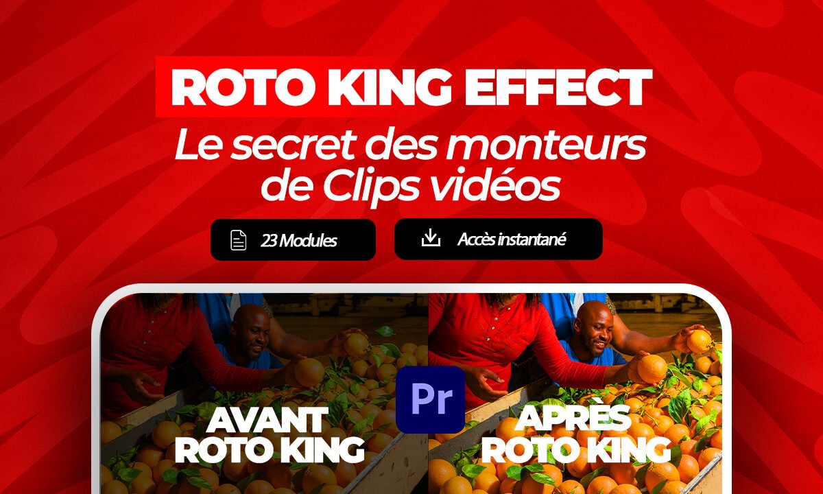 ROTO KING EFFET